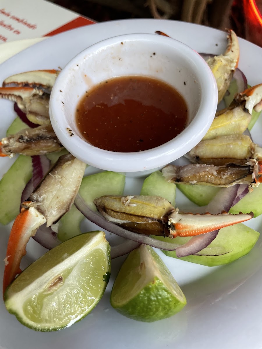 Cevichi Bichi Photo 9